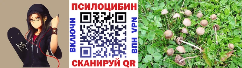 площадка как зайти  Слюдянка  Псилоцибиновые грибы Magic Shrooms 